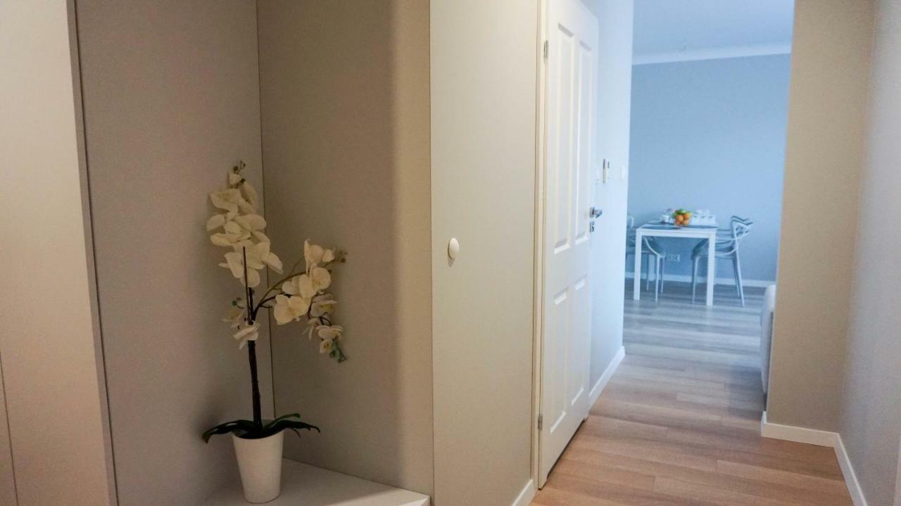 Apartament Olimp Gorzów Wielkopolski Exteriér fotografie